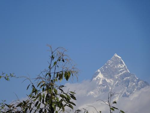 ネパール　わくわくドキドキ旅　（2）ポカラ編