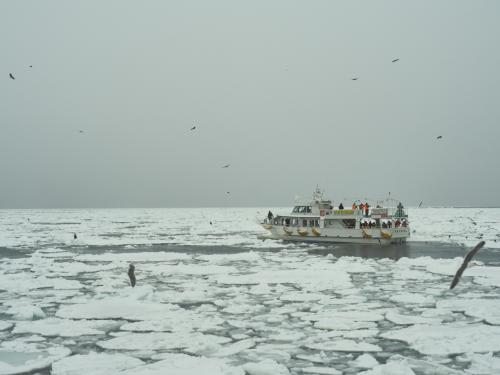 冬の北海道　さいはて野鳥紀行　羅臼流氷クルーズ
