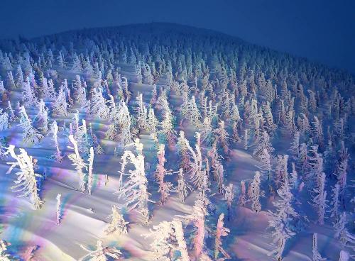 団塊夫婦の日本スキー&amp;絶景の旅(2020ハイライト)ー幻想的な樹氷ライトアップ・蔵王温泉スキー場