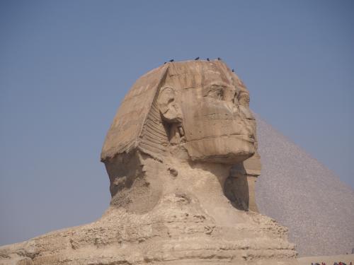 2020年　感動のエジプト・トルコ周遊10日間（２）エジプト編