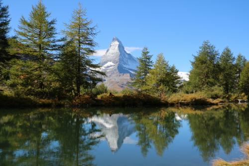 トレッキングというよりハイキング？巡るスイスの絶景