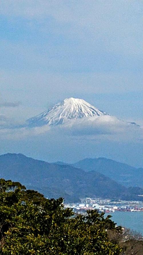 行っちゃう？どうする？静岡日帰りバスツアー　富士山・沼津・いちご狩り♪の巻