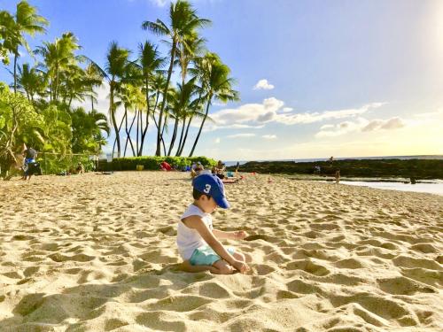 はじめてのホヌさがし。