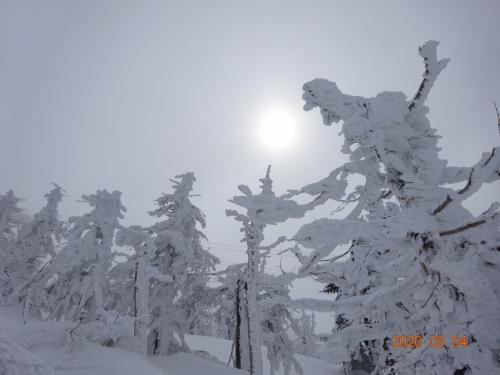 山形県 蔵王温泉 スキーと樹氷