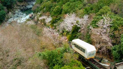 ご招待宿泊で徳島県の秘境 祖谷にある 和の宿 ホテル祖谷温泉へ