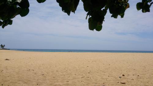 大好きハワイ4日目