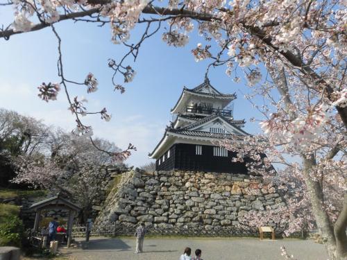2020春18きっぷの旅：由比の桜えびと浜松城と浜松餃子