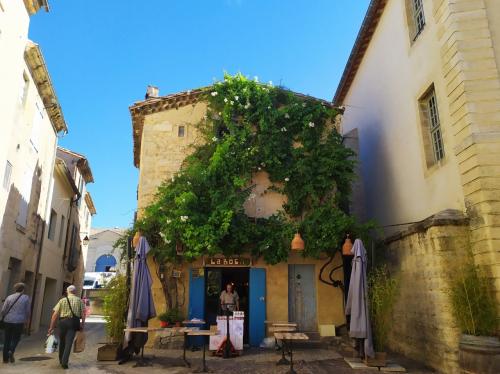 フランスの世界遺産と最も美しい村　南仏