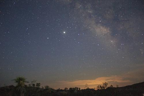 ペルセウス流星群を見にジョシュアツリー国立公園のコットンウッド地区へ
