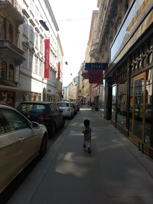 2歳児5歳児連れヨーロッパ: スイス、オーストリア②