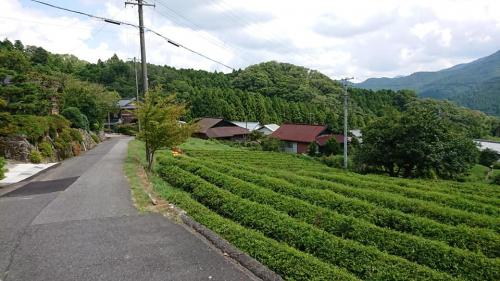 それでも旅がしたい！コロナ時代の新しい旅の形を求めて（２：御杖～伊勢奥津：美杉村～多気）