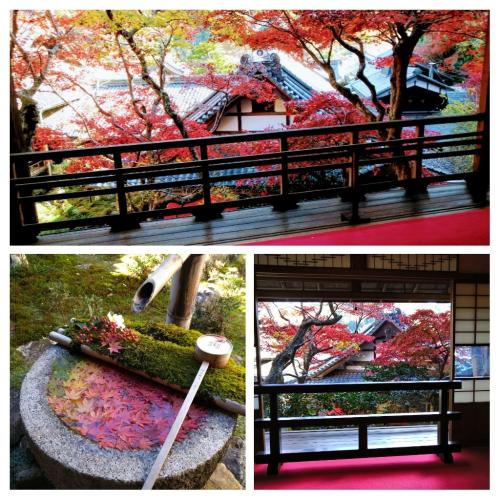 紅葉と花手水の秋景色を楽しみに柳谷観音楊谷寺へ　2020