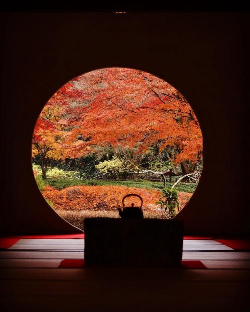 紅葉で人気のおすすめ旅行記 ブログ 国内 フォートラベル 紅葉で人気のおすすめ旅行記 ブログ 国内 フォートラベル