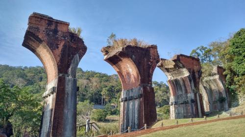 秋を感じるクリスマスの台湾(その3・冬に咲く台中のラベンダー畑)