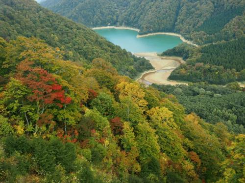 新潟の紅葉めぐり～ドラゴンドラの空中散歩♪清津峡のアートの旅