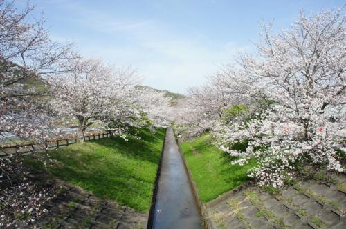 2021春を楽しむ　伊豆・箱根旅行