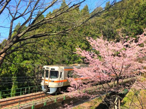 ２泊３日 春の青春18きっぷで行く飯田線の旅【２日目】