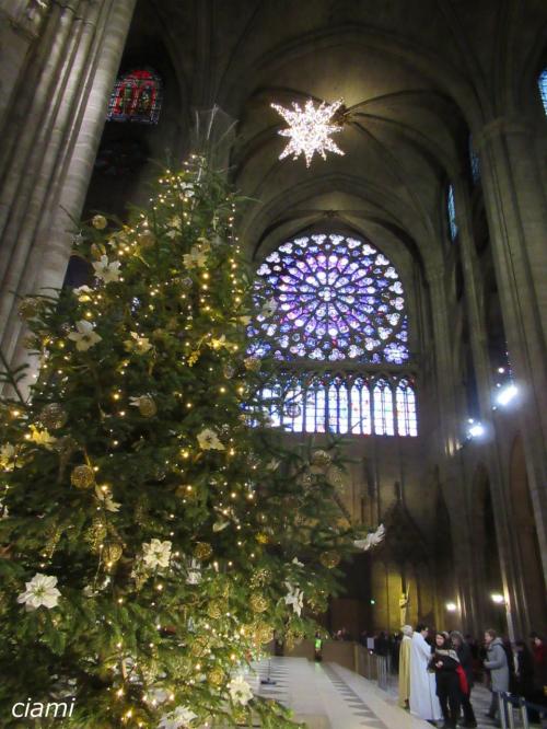 ノートルダムのステンドグラス　201812クリスマスのトスカーナ37