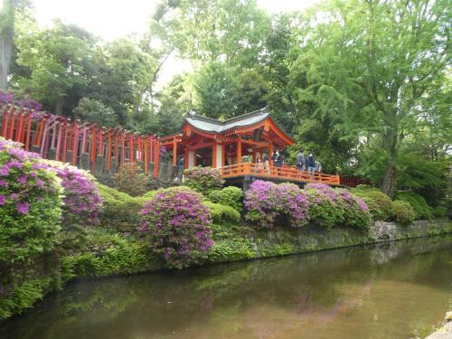 根津神社のつつじと亀戸天神社の藤まつりを同時に楽しめるか。２回目の挑戦。