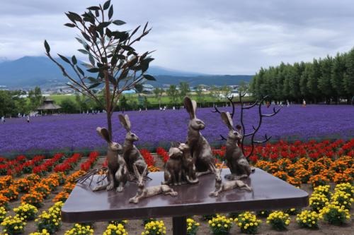 2021年7月　北海道【２】富良野・美瑛絶景スポット巡りと旭山動物園