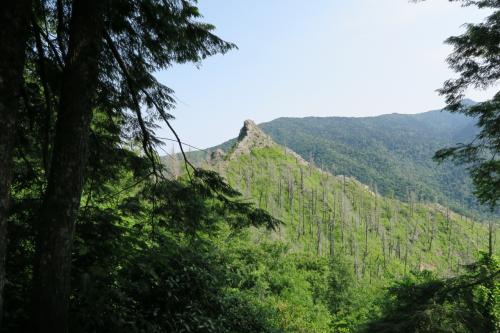 Great Smoky Mountains グレイトスモーキーマウンテン国立公園 トレイル歩き（１）