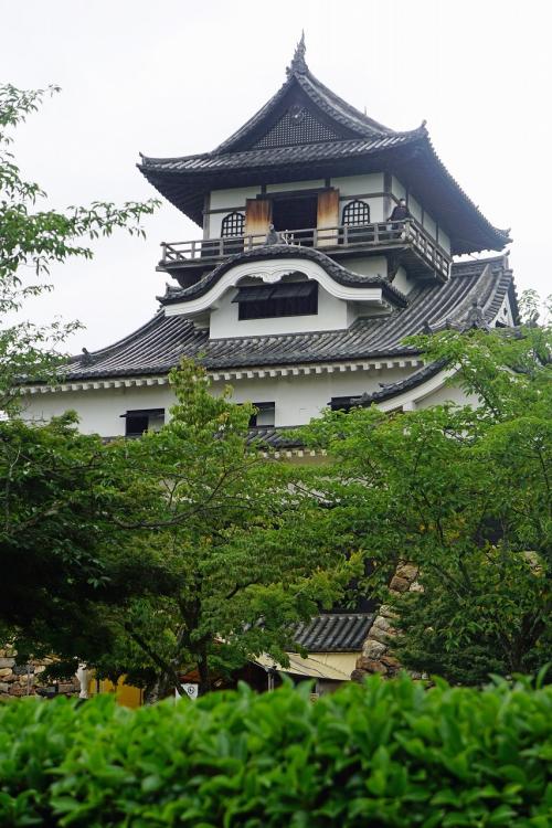 大平洋フェリー創立50周年3船乗り比べツアーと名古屋の旅（17）50年振りの犬山城の天守閣に登り、木曽川の流れの向こうに岐阜城を眺める。