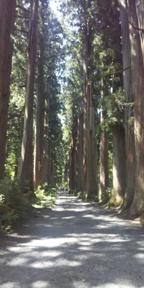 夏の長野女子一人旅