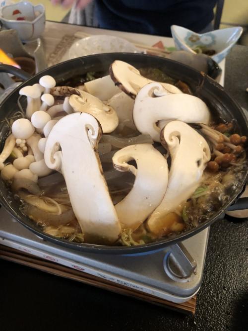 松茸で人気のおすすめ旅行記・ブログ(国内)【フォートラベル】