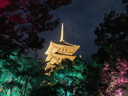 チームラボ　東寺　光の祭で夏満喫　京都ひとり旅