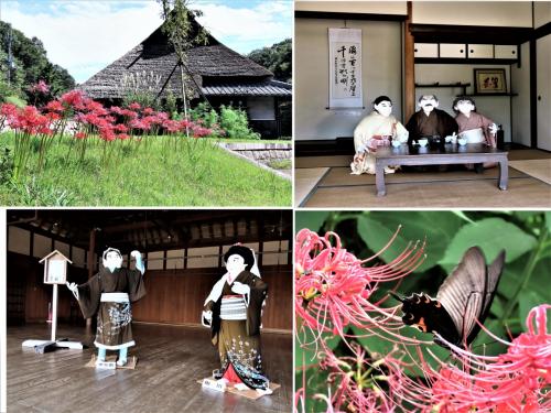 ２０２１年９月、神戸市北区藍那に位置する &quot;あいな里山公園”に彼岸花をはじめとする秋の花々、そしていにしえの里山の人々の暮らしを観ます！