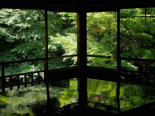 2021年　るなさんと駆け巡る夏の京都【1】美しき青もみじとAceHotelのアフタヌーンティーby Tomo Koizumi