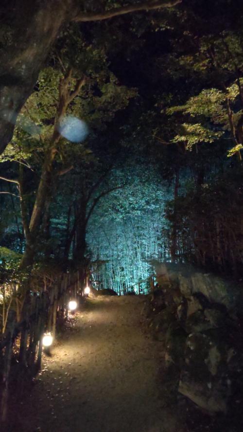滋賀県へ～黒壁スクエアと永源寺・教林坊のライトアップ～