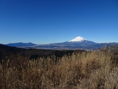 富士山展望の山旅♪蛾ヶ岳・三方分山＆矢倉岳