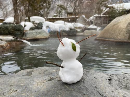 雪の露天風呂を満喫する奥飛騨温泉郷の旅(谷旅館、松宝苑）