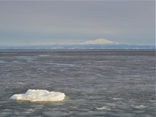 流氷と雪原を満喫した3日間（１：流氷観光船オーロラ号）