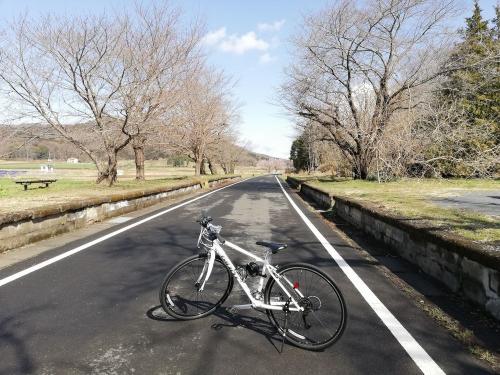 たまにはベタなサイクリング2203　　「廃線跡のナショナルサイクルルートを走破しました。　“つくばりんりんロード”」　　　～茨城～