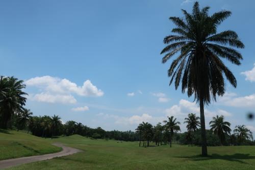 真夏暑さ続くPattaya長期滞在者達とゴルフ＆町歩き日記　4月上旬/2022