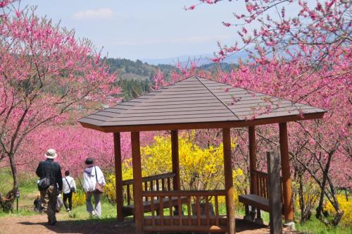 愛郷ぐんまで行く中之条の旅「四万温泉」