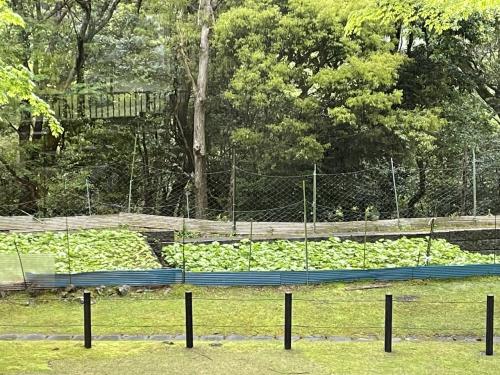 静岡旅行　体感型動物園 iZooと御殿場プレミアム・アウトレット