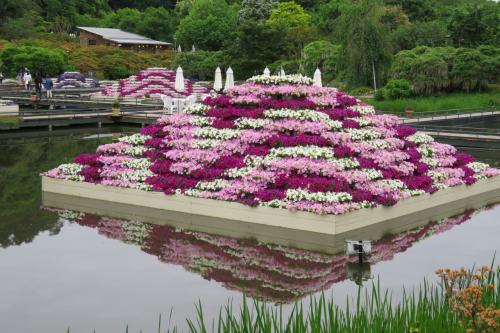 富士芝桜まつり、あしかがフラワーパーク、ネモフィラ、鎌倉散策　３日間　２日目