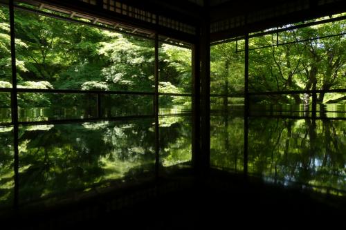 青もみじの瑠璃光院へ その2＠2022年GW後半は、そーだ京都へいこう【4】