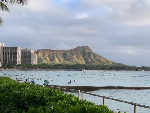 2022　ハワイの旅　再びフライト欠航と　新たな試み。
