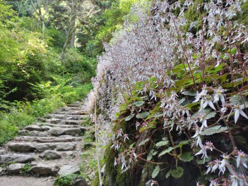 やっと西国三十三所最難所第4番札所施福寺に行く♪