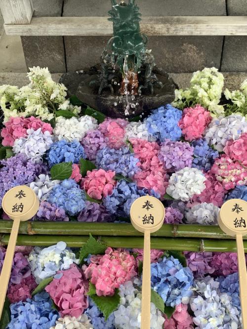 京都の新緑と紫陽花を見に詣る♪2022