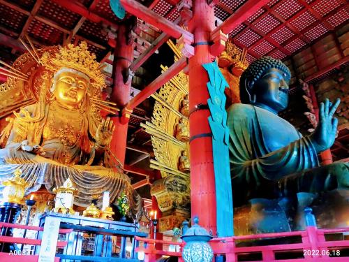 奈良の東大寺観光