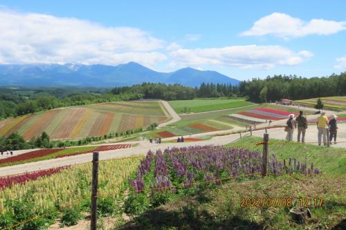7つの絶景をめぐる夏の北海道への旅⑭青い池～四季彩の丘