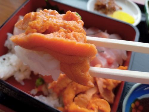 おいしいウニを食べに日本海の街へ。