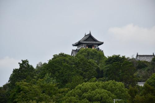 国宝の犬山城天守閣