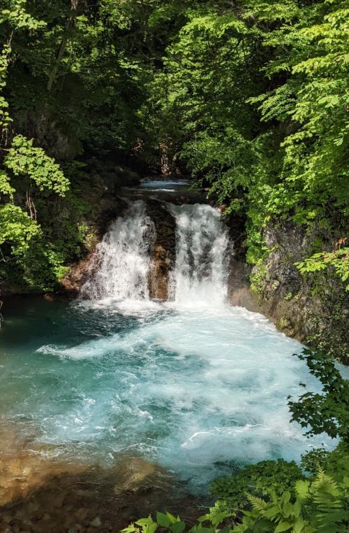 群馬 / 四万温泉　清らかな四万川の流れに感動　積善館にもとうとうご対面