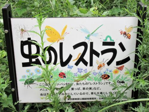 石神井公園と石神井城跡★2022年8月